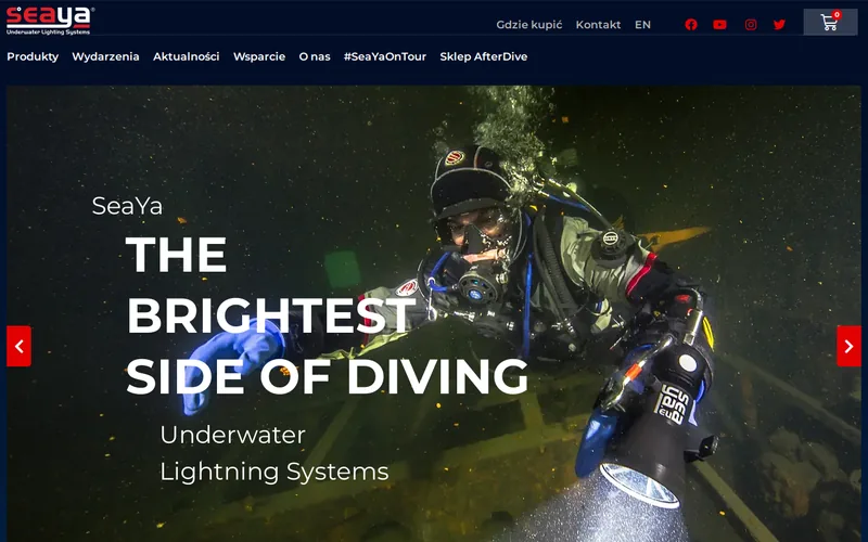 Seaya Ventures website screenshot