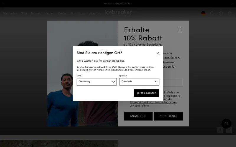 Icebreaker Ventures website screenshot