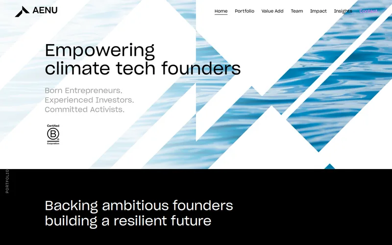 AENU website screenshot