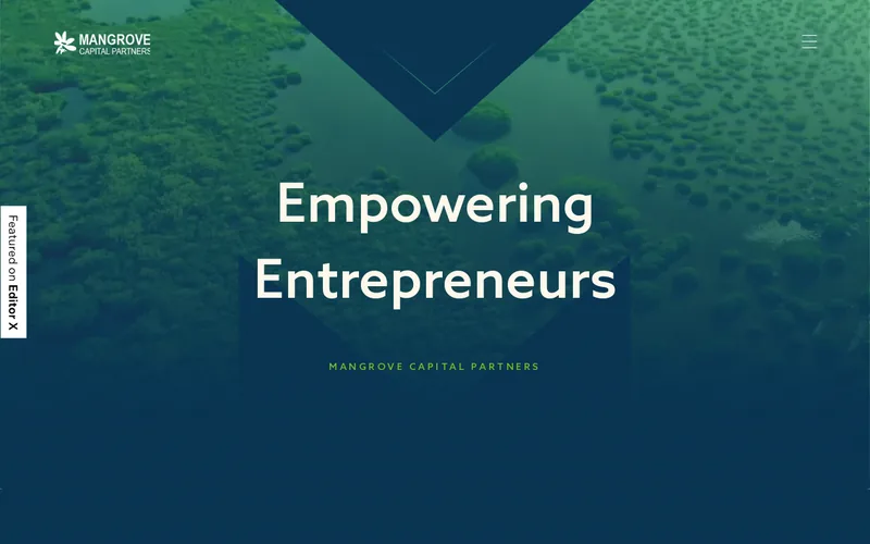 Mangrove Capital Partners website screenshot
