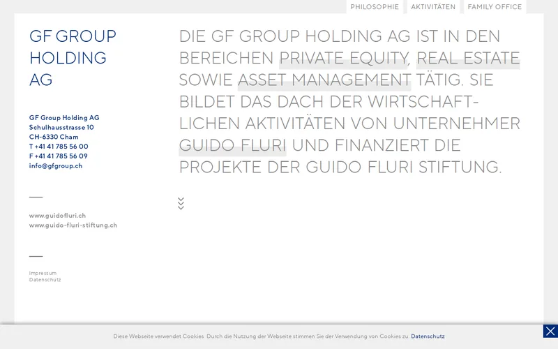 GF Group Holding website screenshot