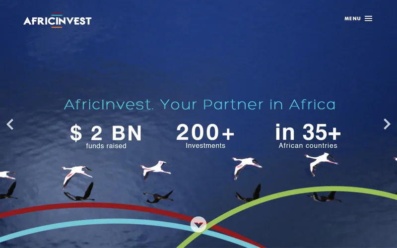 AfricInvest website screenshot