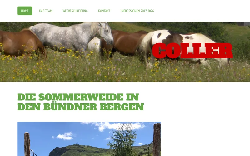 Coller Capital (Schweiz) GmbH website screenshot