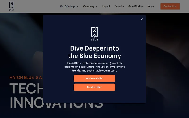 Hatch Blue website screenshot