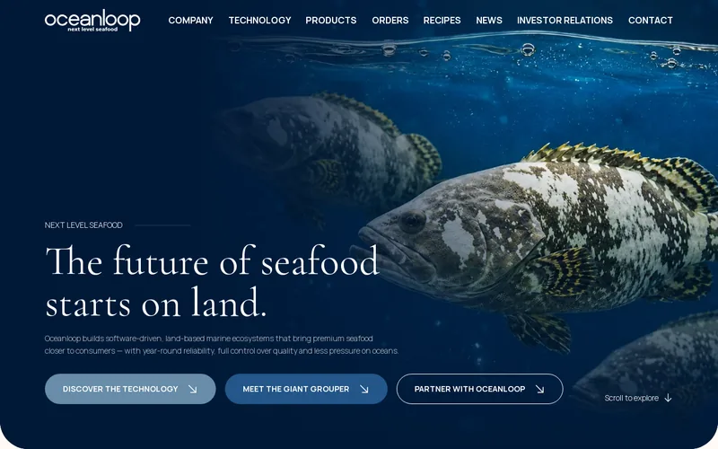 Oceanloop website preview