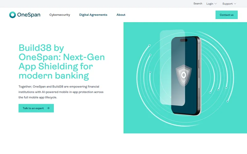Website snapshot for Build38