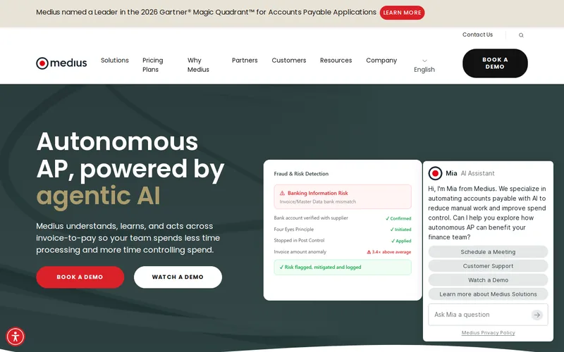 Website snapshot for Medius