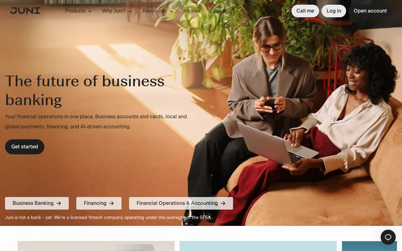 Website snapshot for Juni