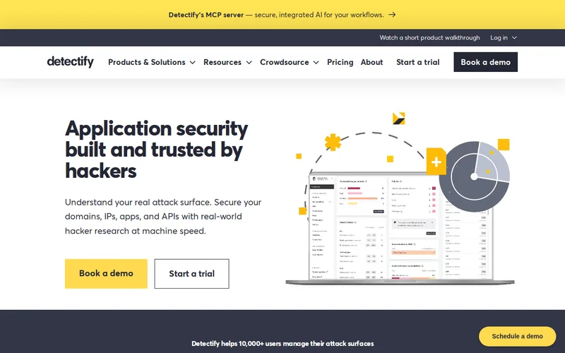 Website snapshot for Detectify
