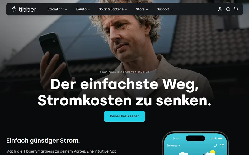 Website snapshot for Tibber