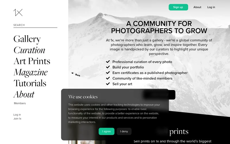 Website snapshot for 1X Photography