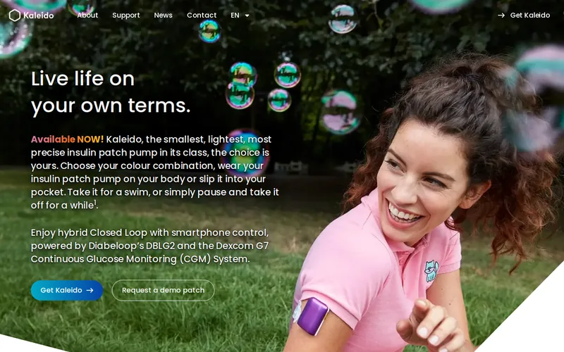 Website snapshot for ViCentra
