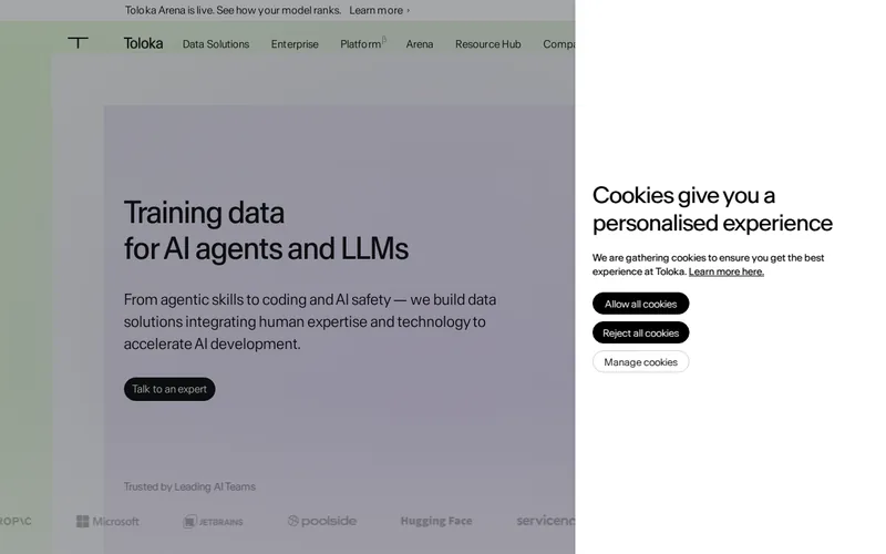 Website snapshot for Toloka