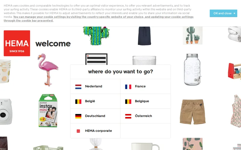 Website snapshot for hema.to