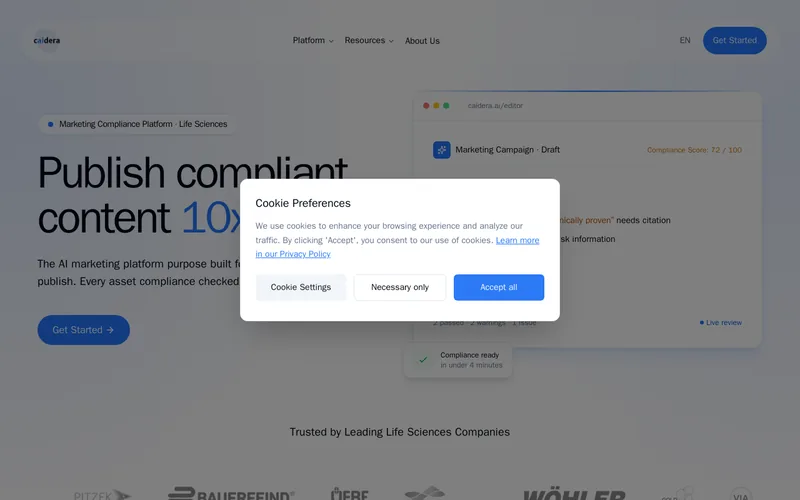 Website snapshot for Caidera