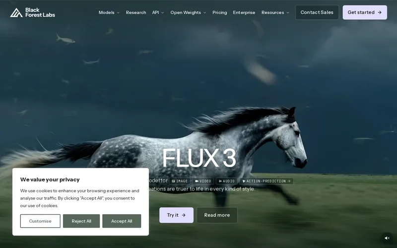 Website snapshot for Black Forest Labs