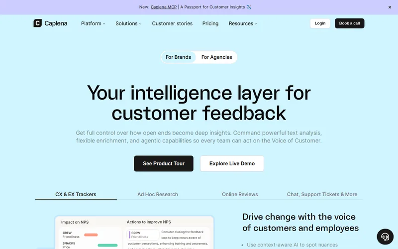 Website snapshot for Caplena
