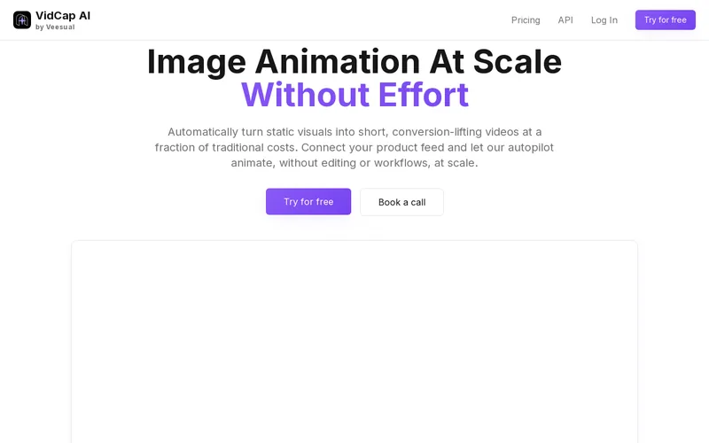 Website snapshot for Veesual