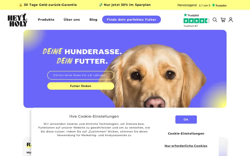 Website snapshot for HEY HOLY