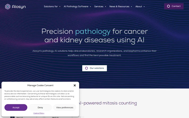 Website snapshot for Aiosyn B.V.