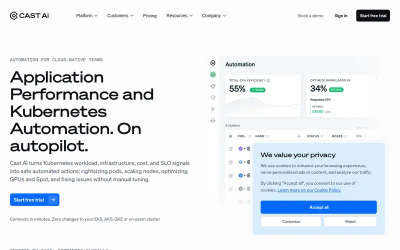 Website snapshot for Cast AI