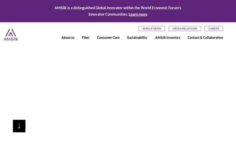 Website snapshot for AMSILK