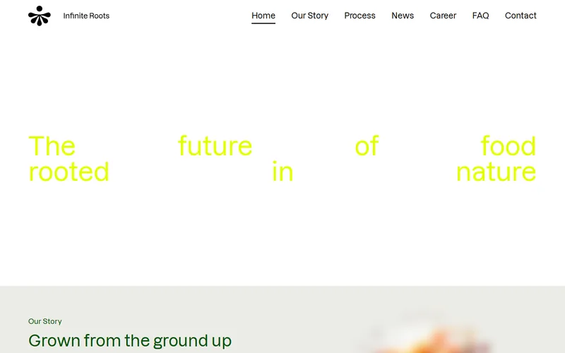 Website snapshot for Infinite Roots
