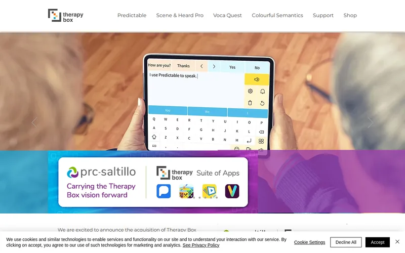 Website snapshot for Therapy Box