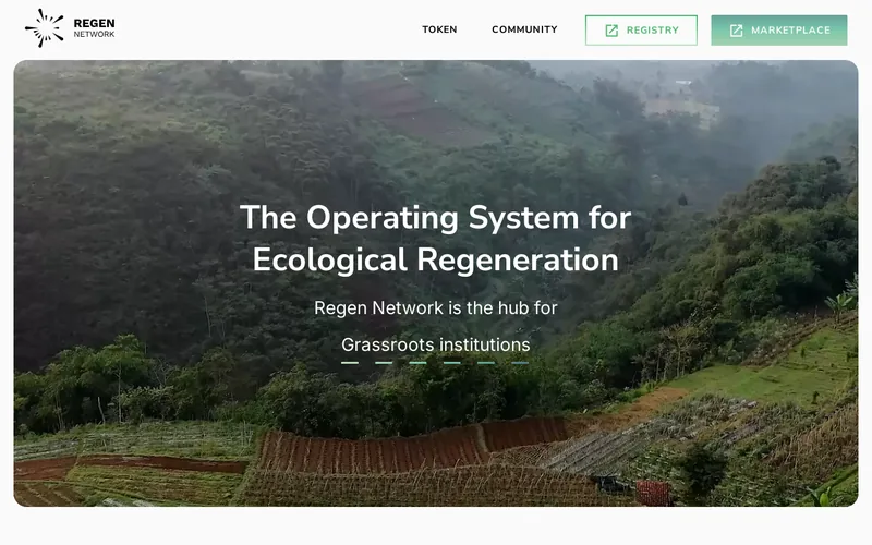 Website snapshot for Regen Network
