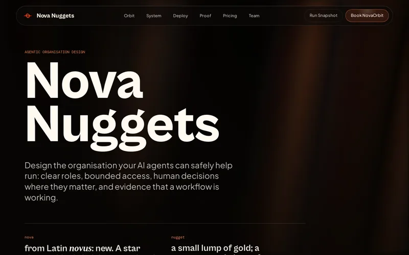 Website snapshot for Nova Nuggets