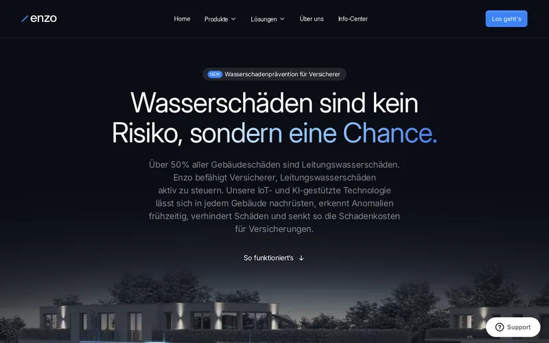 Website snapshot for Enzo