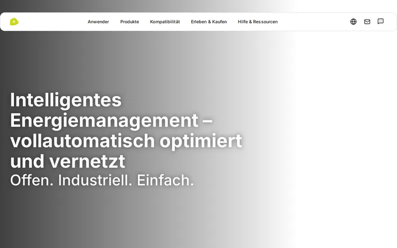 Website snapshot for Kiwigrid GmbH