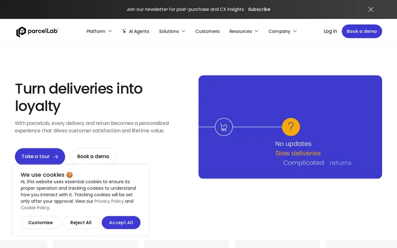 Website snapshot for parcelLab