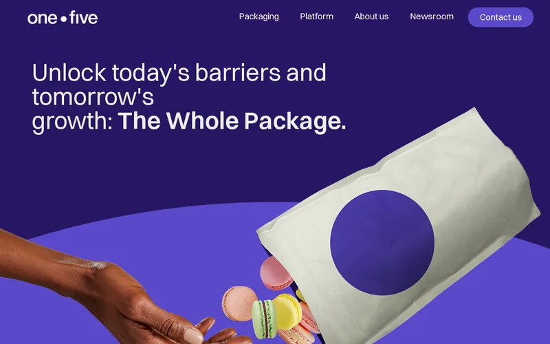 Website snapshot for OneFive