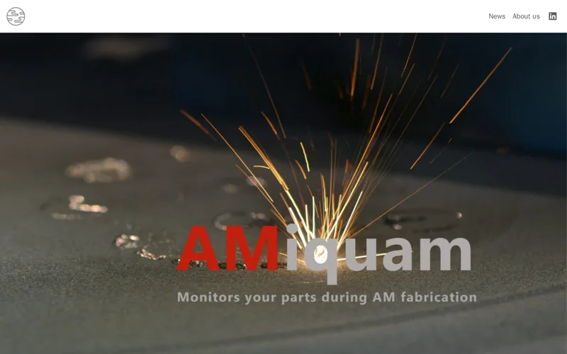 Website snapshot for AMiquam