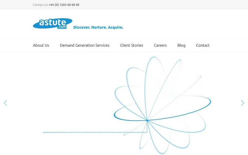 Website snapshot for Astute