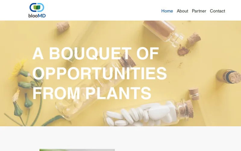 Website snapshot for Bloomd