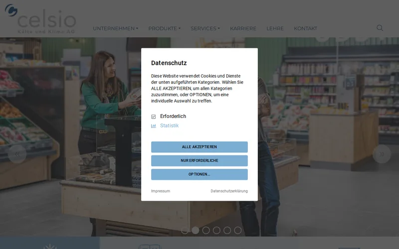 Website snapshot for Celsio
