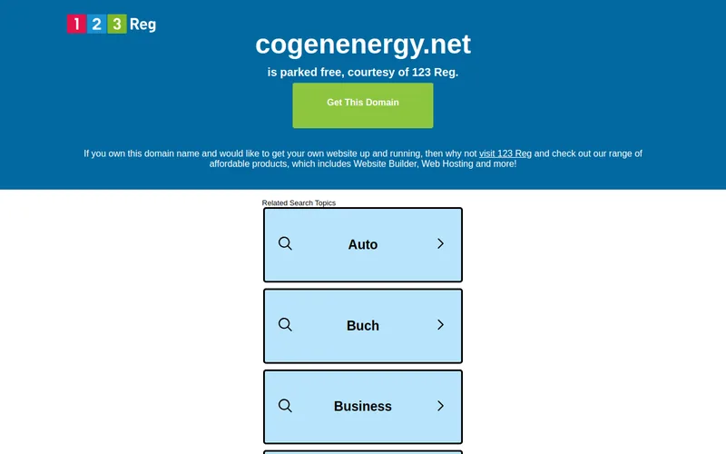 Website snapshot for Cogen Energy