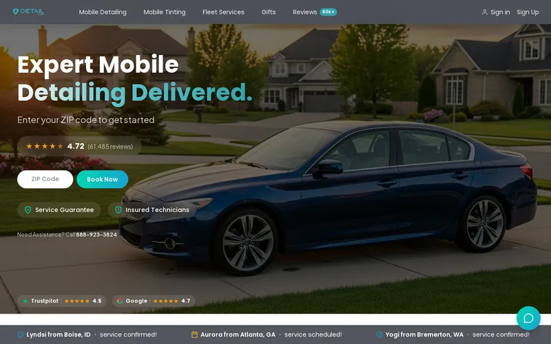 Website snapshot for Detail Online