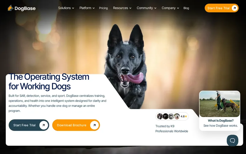 Website snapshot for DogBase