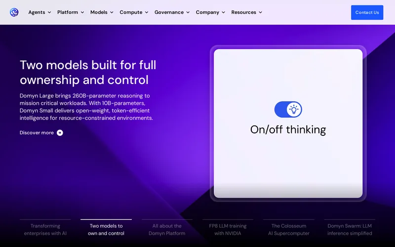 Website snapshot for Domyn