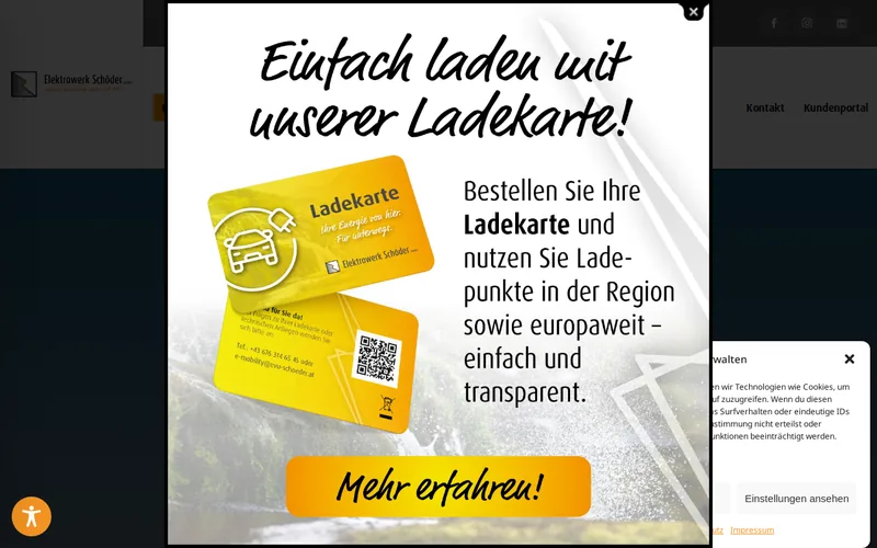 Website snapshot for Elektrowerk Schöder