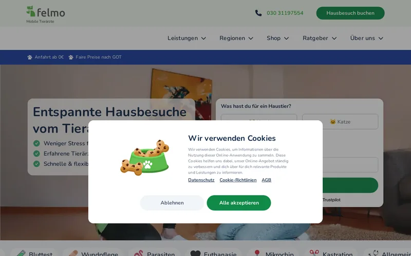 Website snapshot for felmo