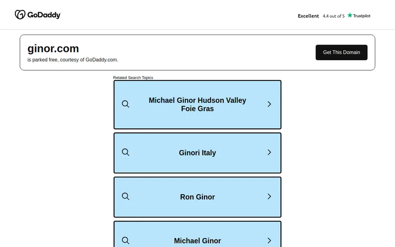 Website snapshot for Ginor