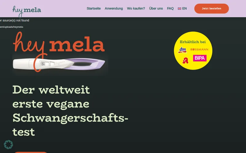Website snapshot for hey mela