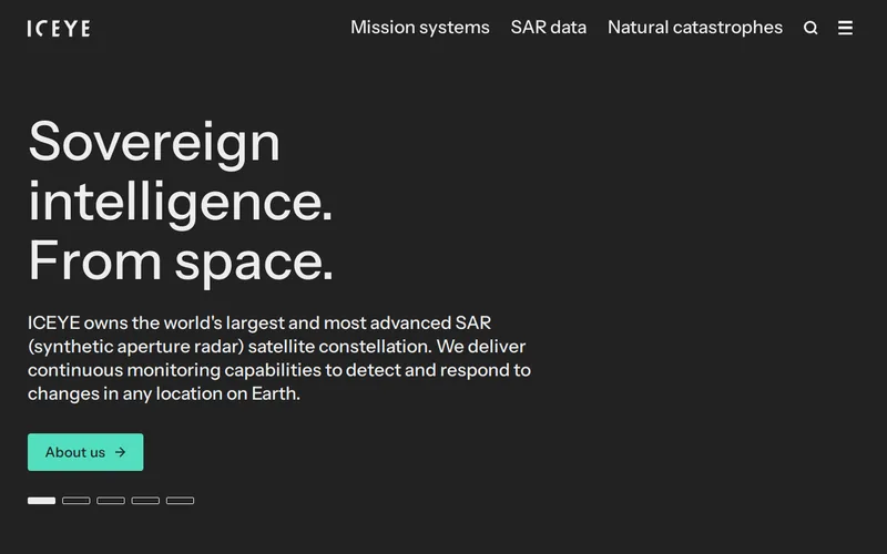 Website snapshot for Iceye
