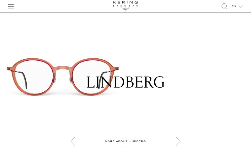 Website snapshot for Kering Eyewear