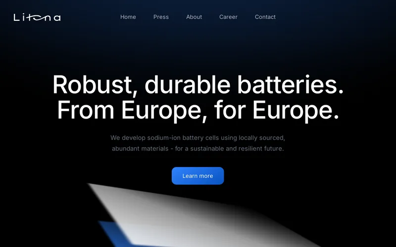 Website snapshot for Litona