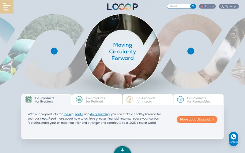 Website snapshot for Looop